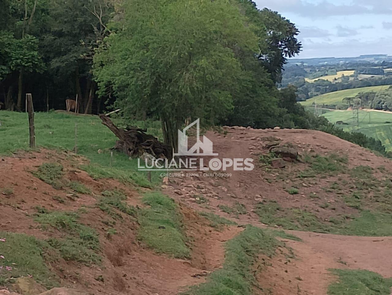 Luciane Lopes Corretora em Castro - PR