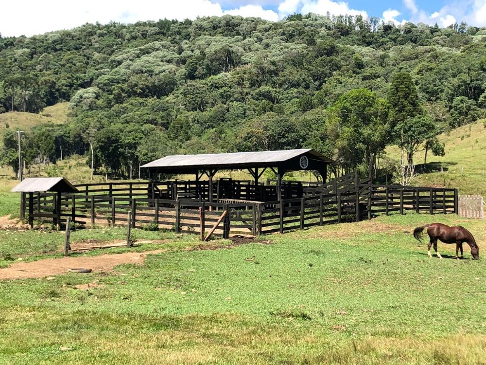 FAZENDA EM CORONEL DOMINGO SOARES