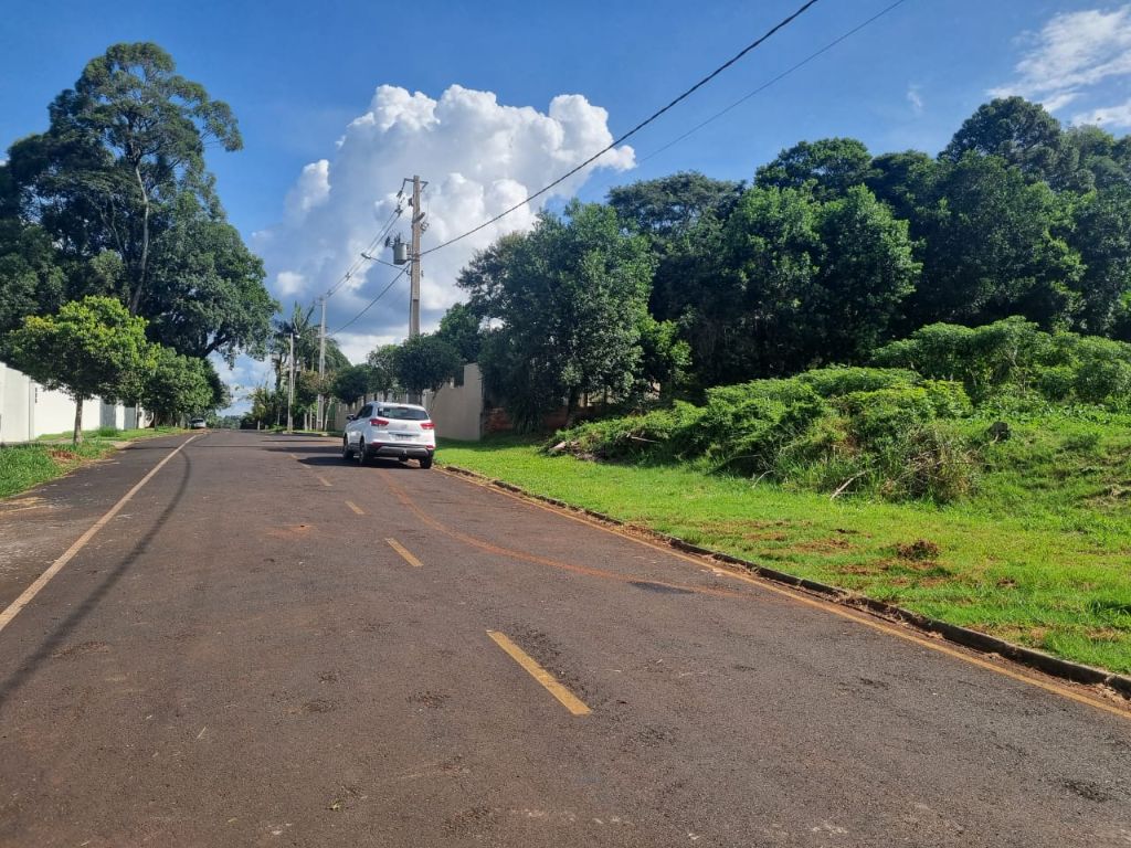 EXCELENTE TERRENO ACIMA DO NIVEL DA RUA