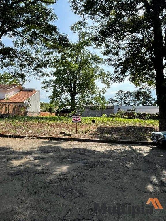 Lote à Venda