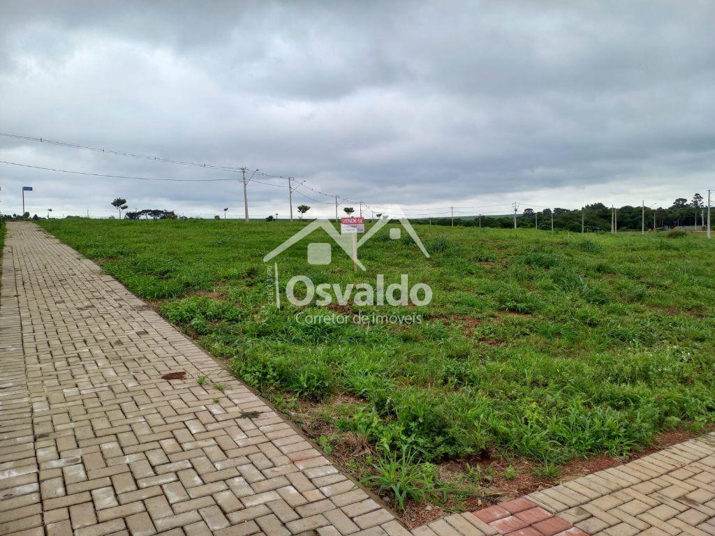 Osvaldo Corretor de Imveis em Cascavel - PR