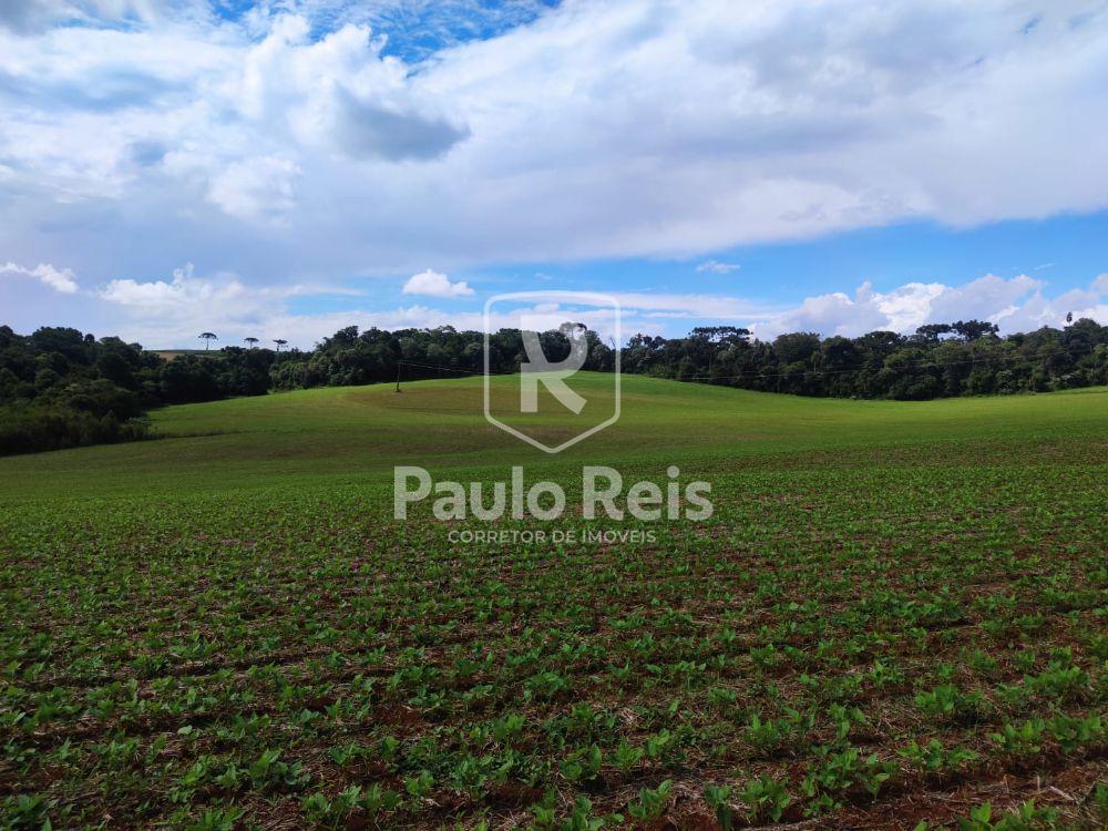REA RURAL - LINHA SO BRAZ - PATO BRANCO PR
