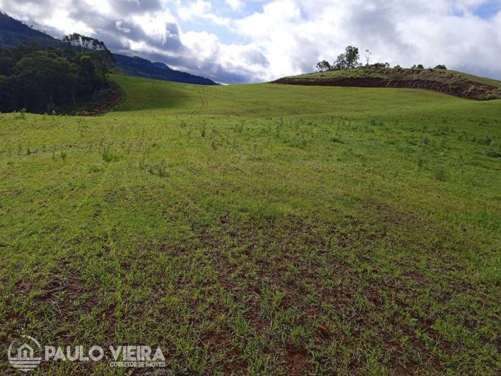 ?REA DE TERRAS COM 30 ALQUEIRES 