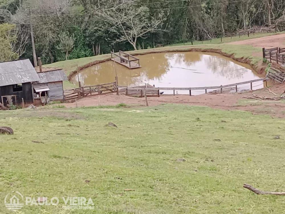ÁREA DE TERRAS COM 04 ALQUEIRES 