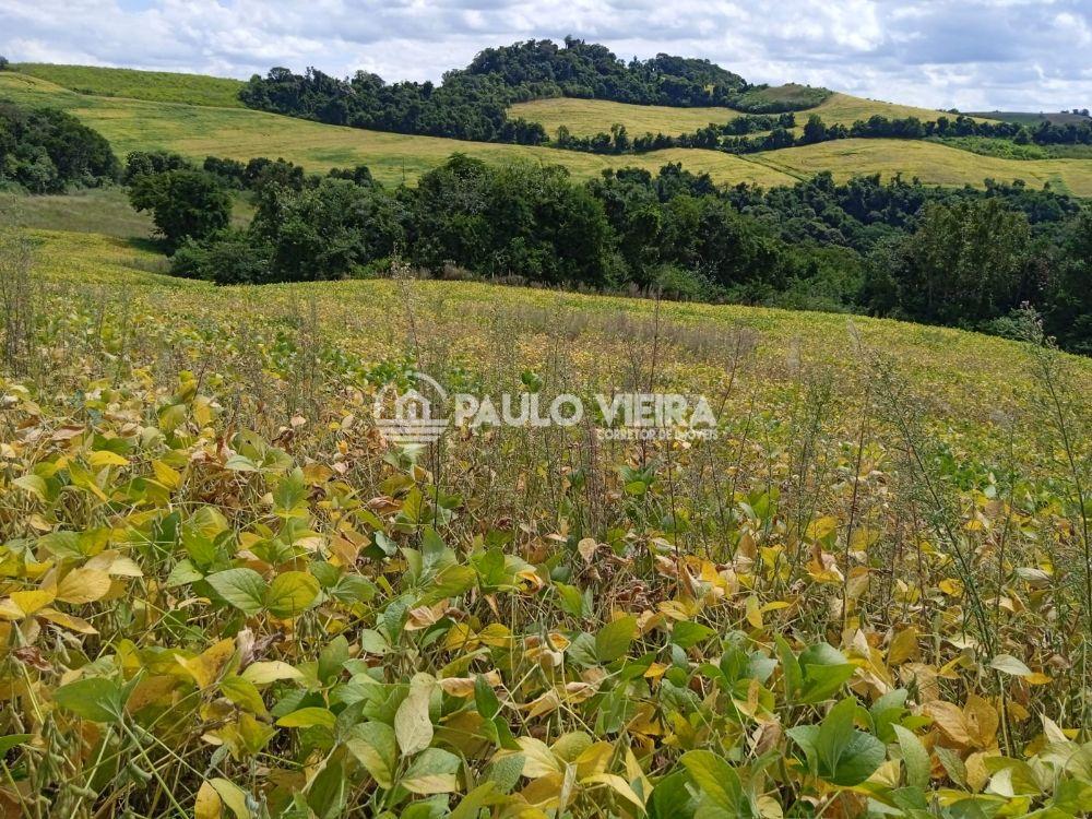 10 ALQUEIRES  TERRAS PADRÃO LAVOURA