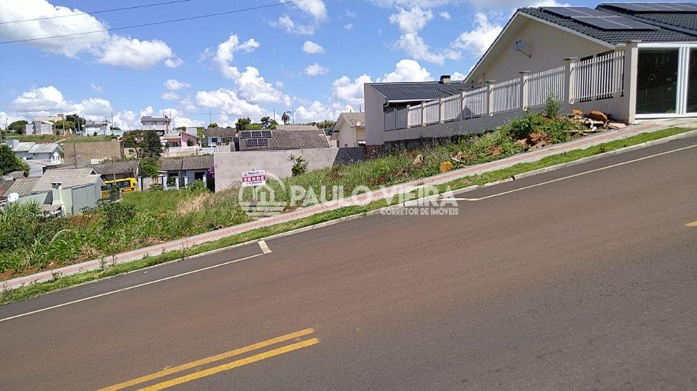 LOTE MEDINDO 360M2