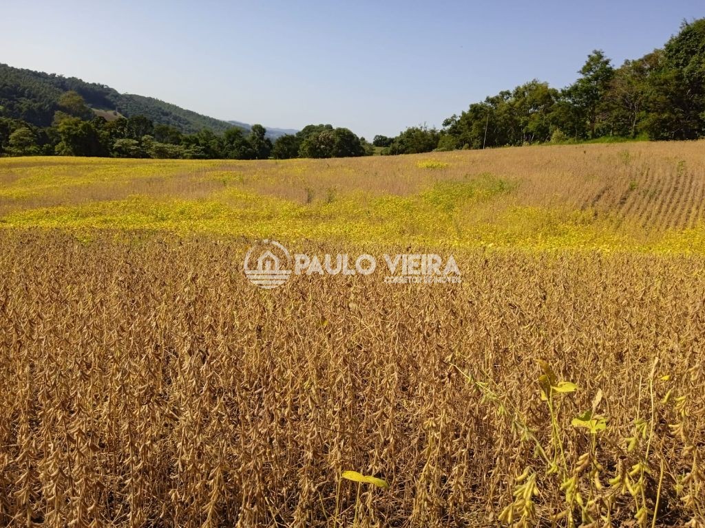 5 ALQUEIRES  MECANIZÁVEIS 