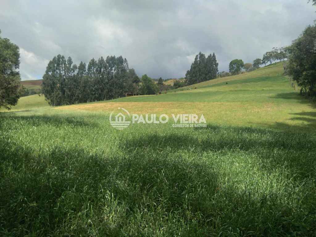 APROX 1,7 ALQUERIES A 1.500 METROS RODOVIA E CIDADE