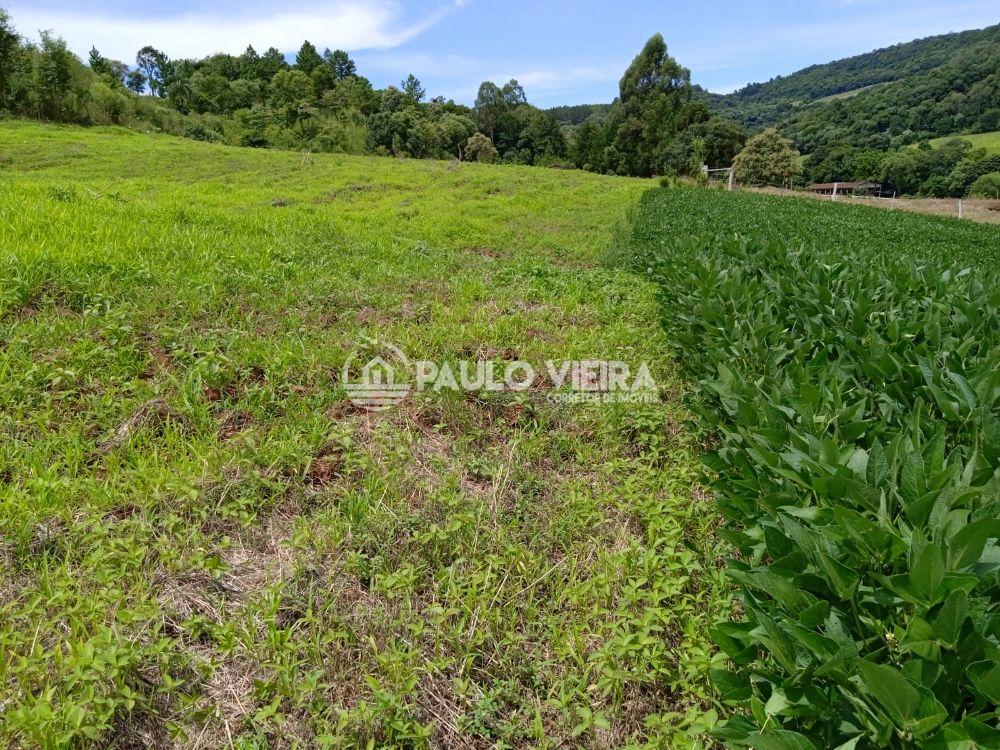 11.650M 2 - COM ACESSO RODOVIA PRÓXIMO LINHA BELA VISTA