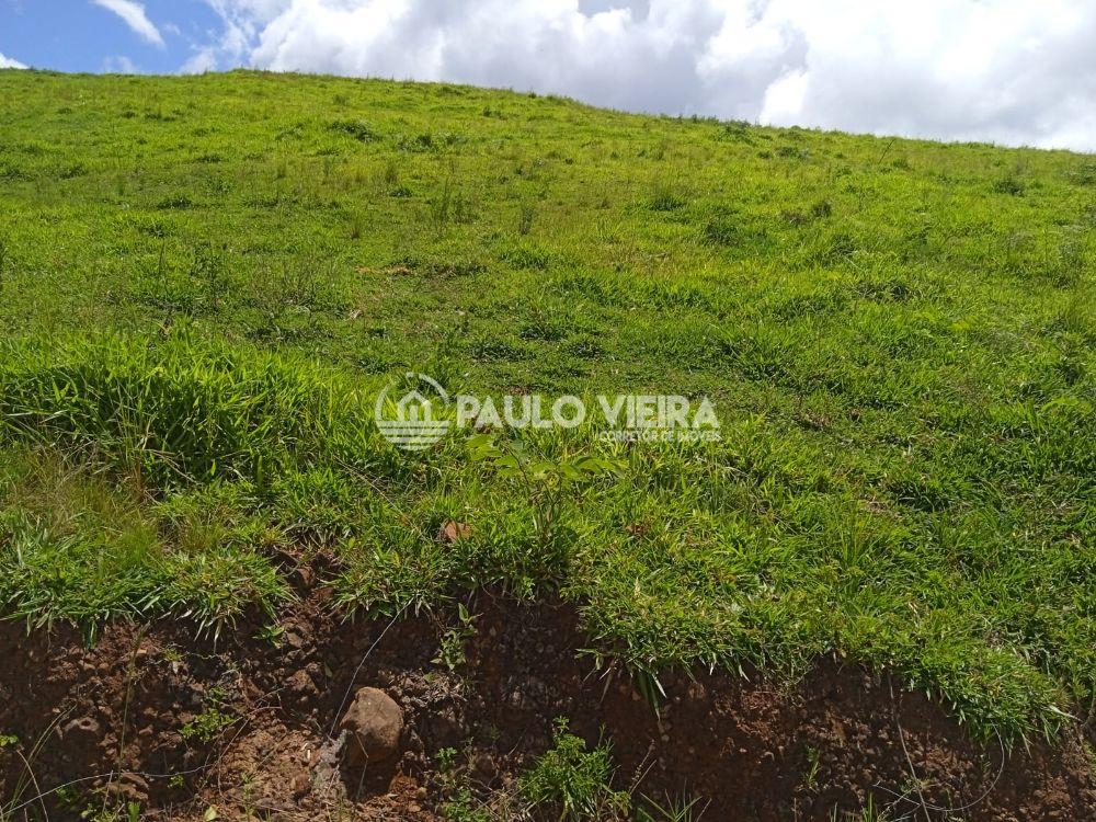 ?REA RURAL COM 6,5 ALQUEIRES