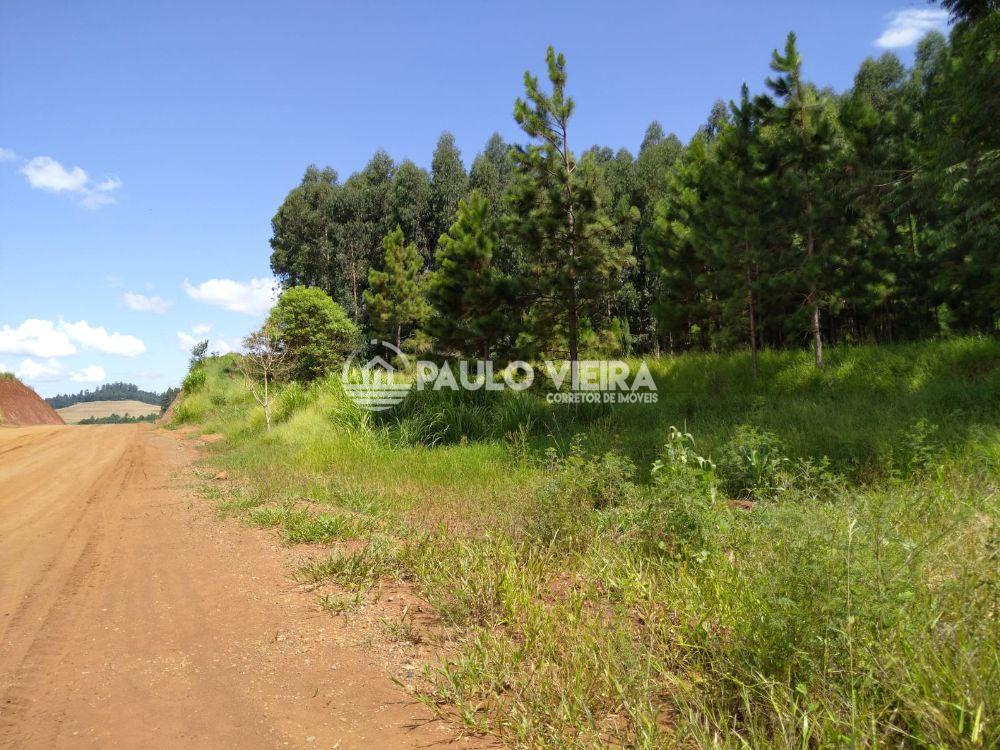 ÁREA COM 75.000M2
