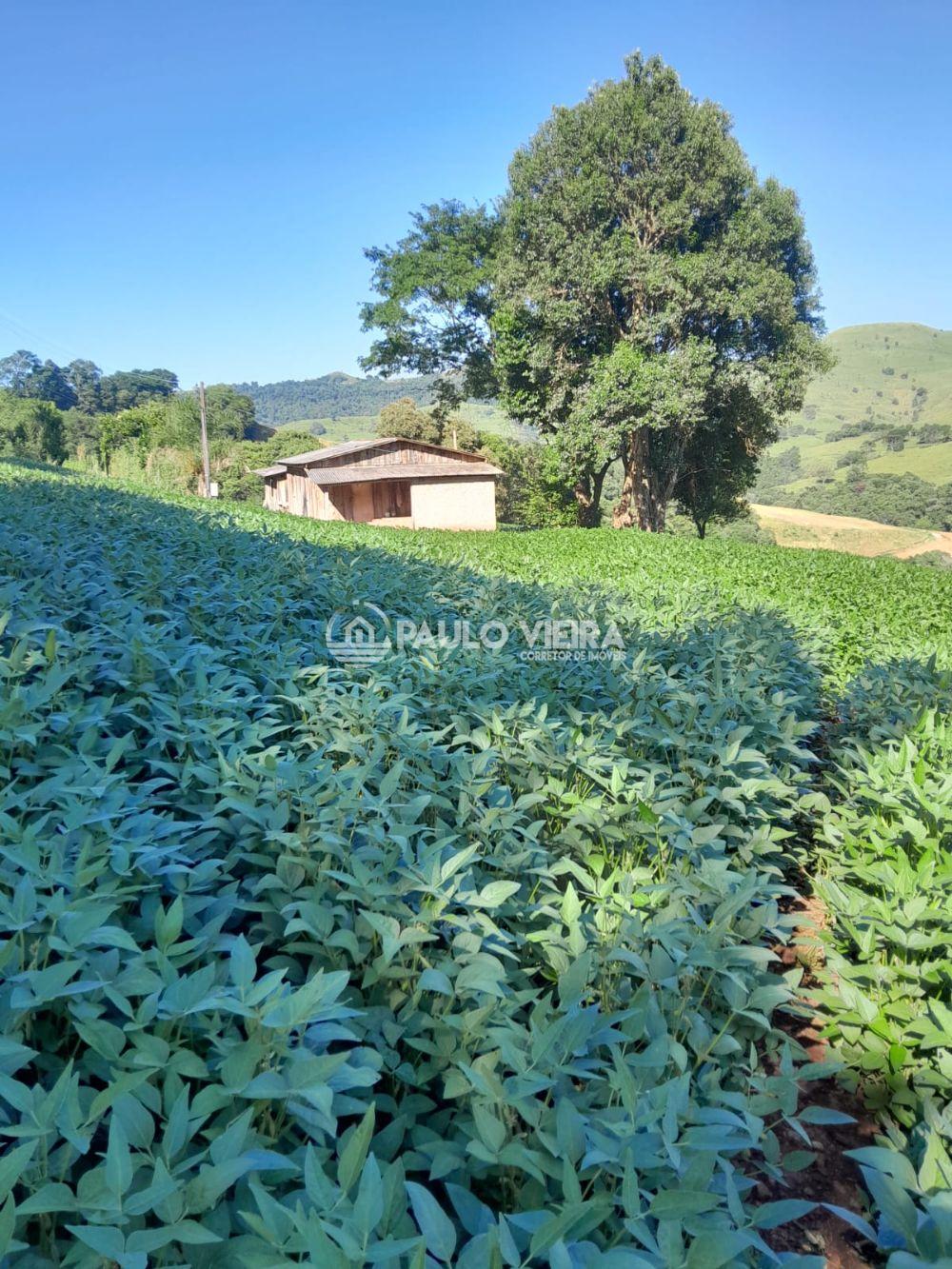 ÁREA DE TERRAS COM 4,13 ALQUEIRES