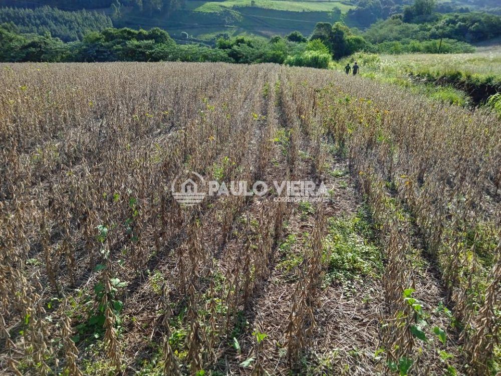 ?REA RURAL COM 3 ALQUEIRES