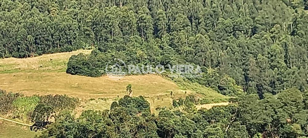 4,5 ALQUEIRES PRA PECUÁRIA OU REFLORESTAMENTO