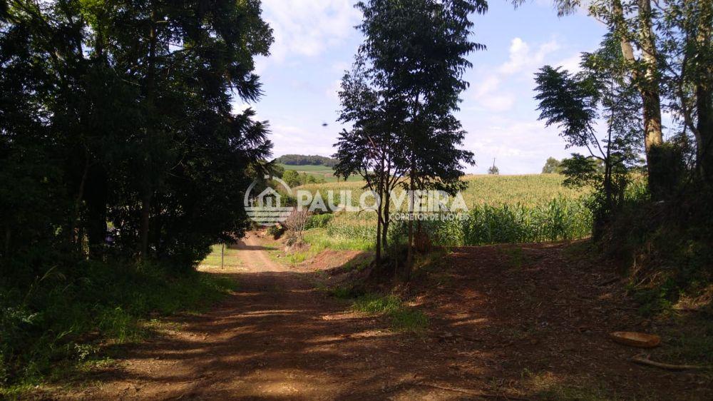 2 ALQUEIRES COM  80% PLANA E MECANIZADA 