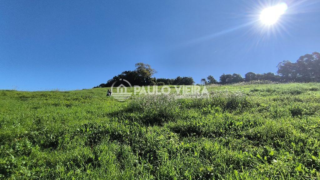 6 ALQUEIRES 200 METROS DA RODOVIA