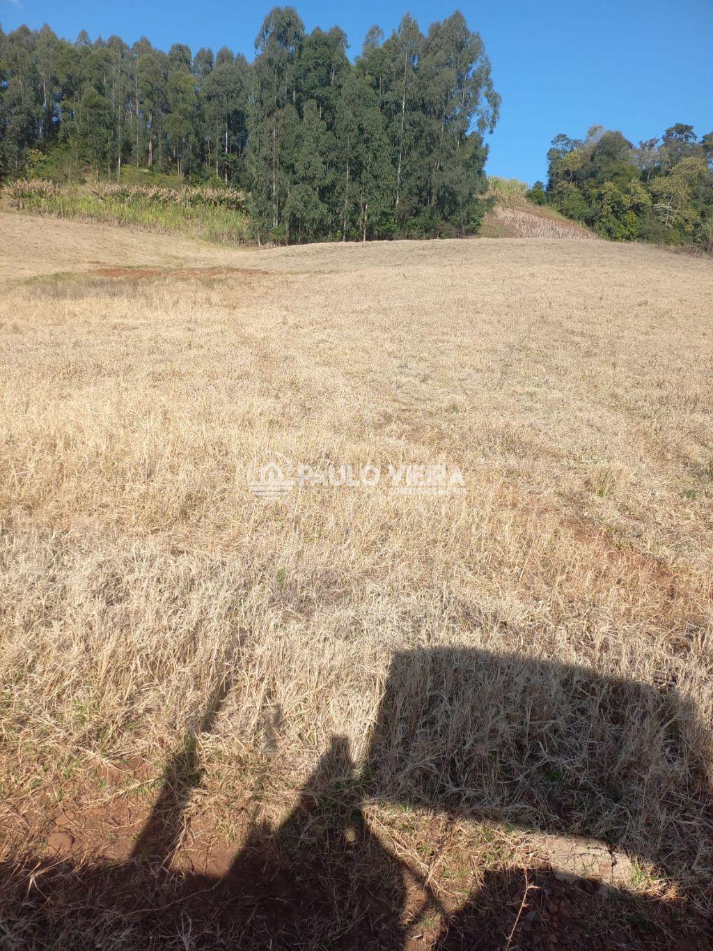 4 ALQUEIRES - ÁREA RURAL A 1.500 METROS DA CIDADE