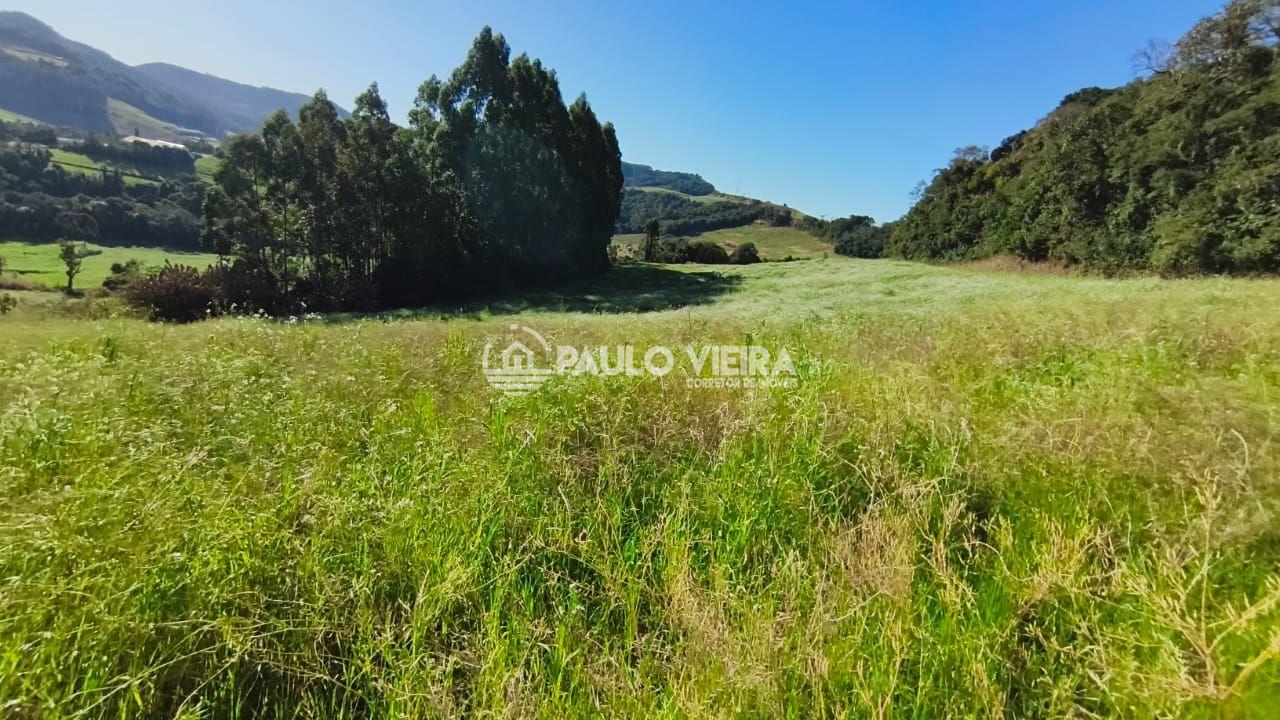 10 ALQUEIRES - 70% LAVOURAS - PRÓXIMO RODOVIA