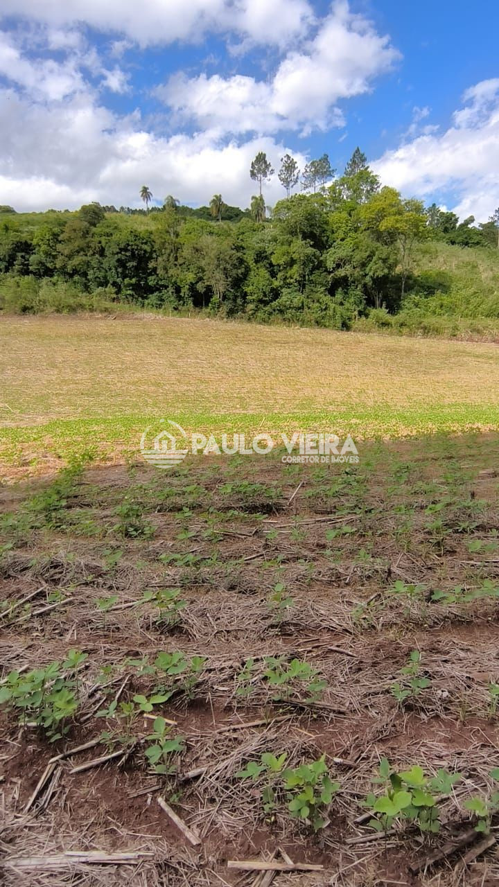 ÁREA RURAL COM 2,5 ALQUEIRES