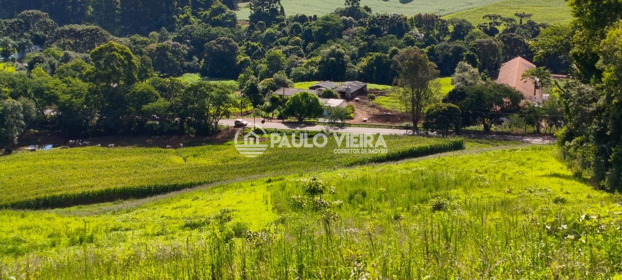 7 ALQUEIRES 80% AGRICULT?VEIS 