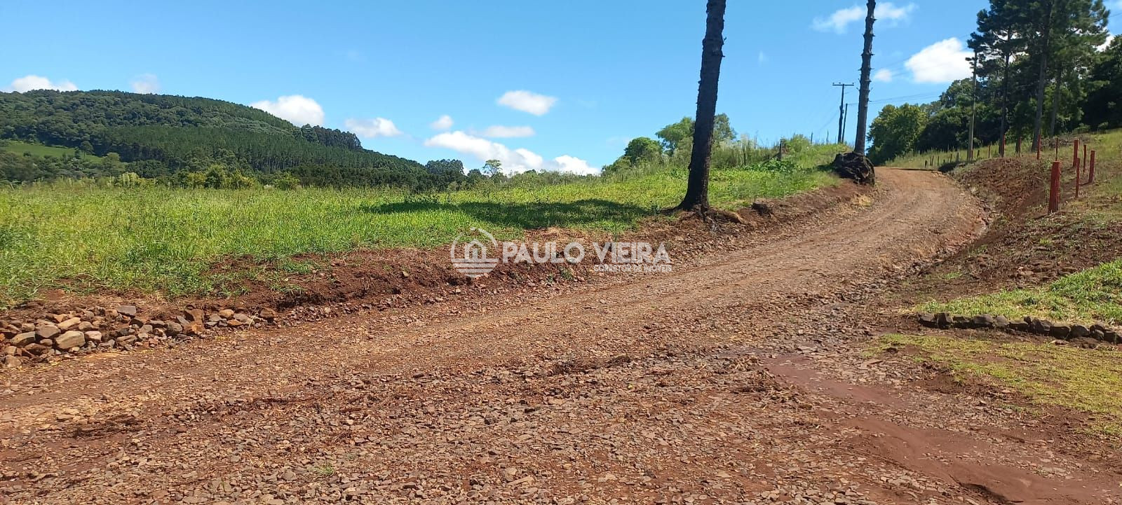 ÁREA DE 8.000m² PLANA E ÀS MARGENS DA RODOVIA