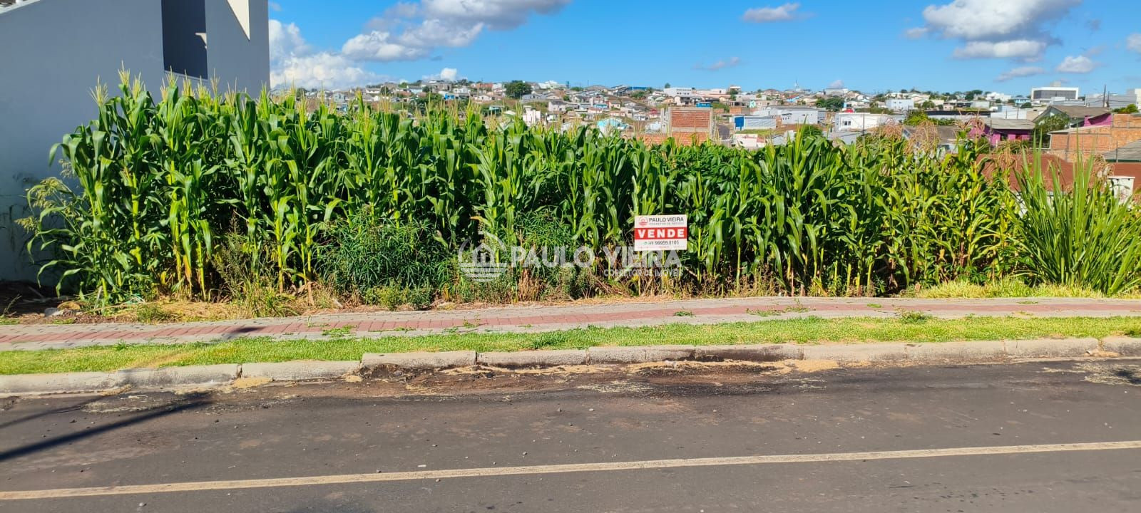 LOTE MEDINDO 360M²