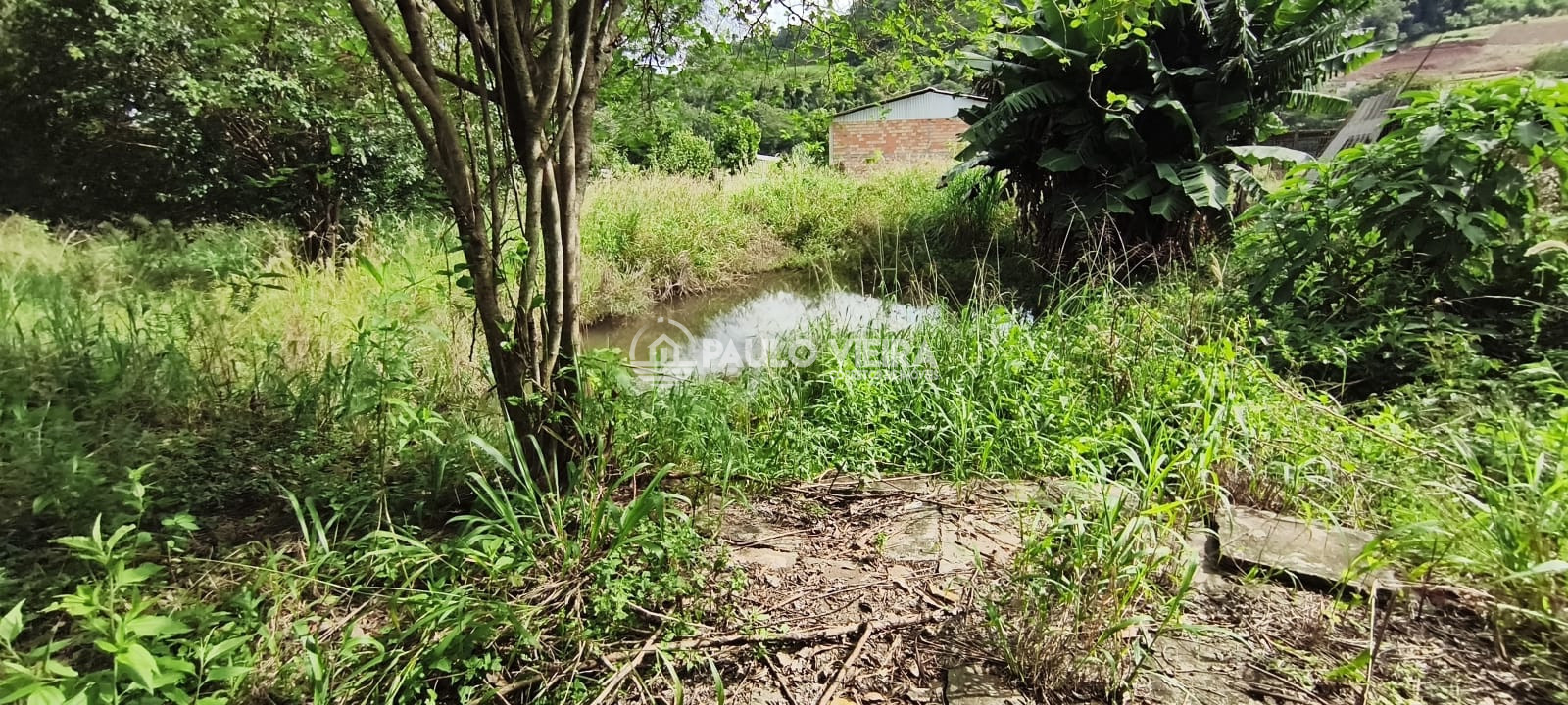 CHACARA MEDINDO 2500M²