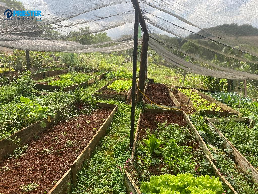 Chácara 2.000,00 m² com Pomar, estufa e casa dois quartos