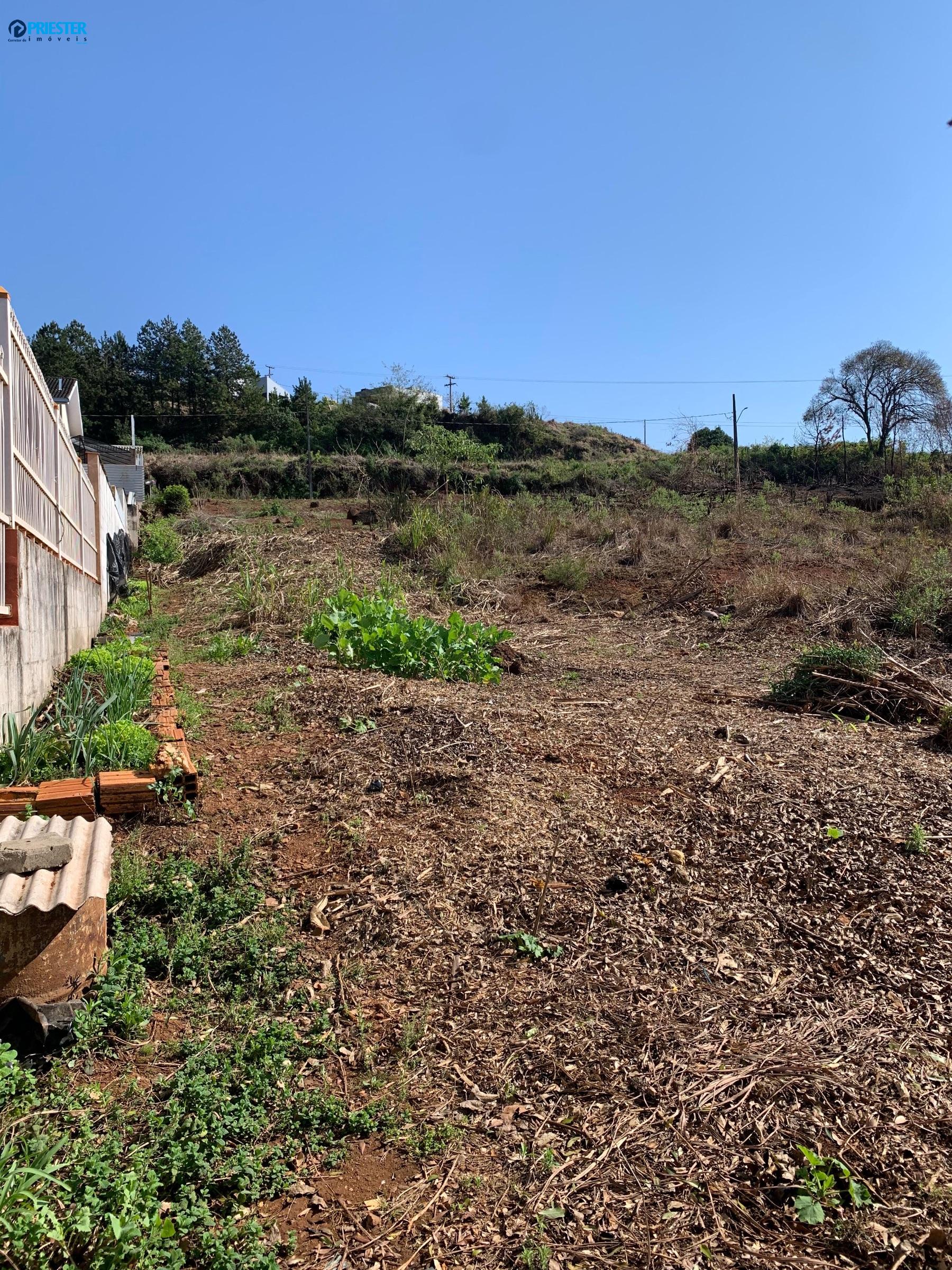 🌟 OPORTUNIDADE ÚNICA EM MARMELEIRO! LOTE NO BAIRRO JARDIM BANDEIRA