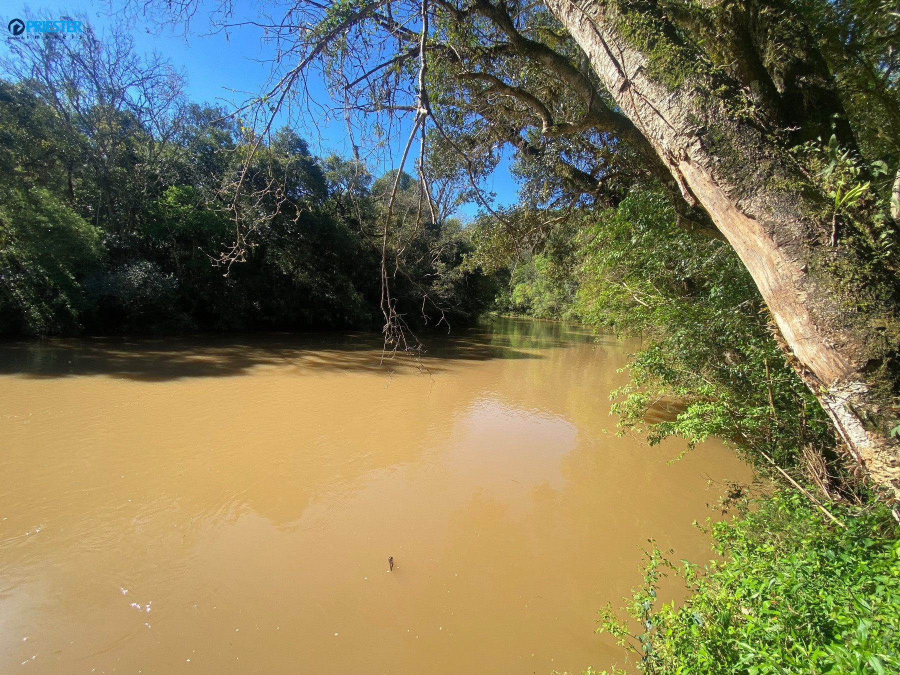 Chácara com 4.000 m², muito verde, rio Marrecas aos fundos e açude