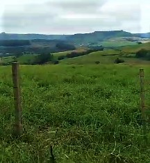 Área Rural Por 60 Mil ao Alqueire