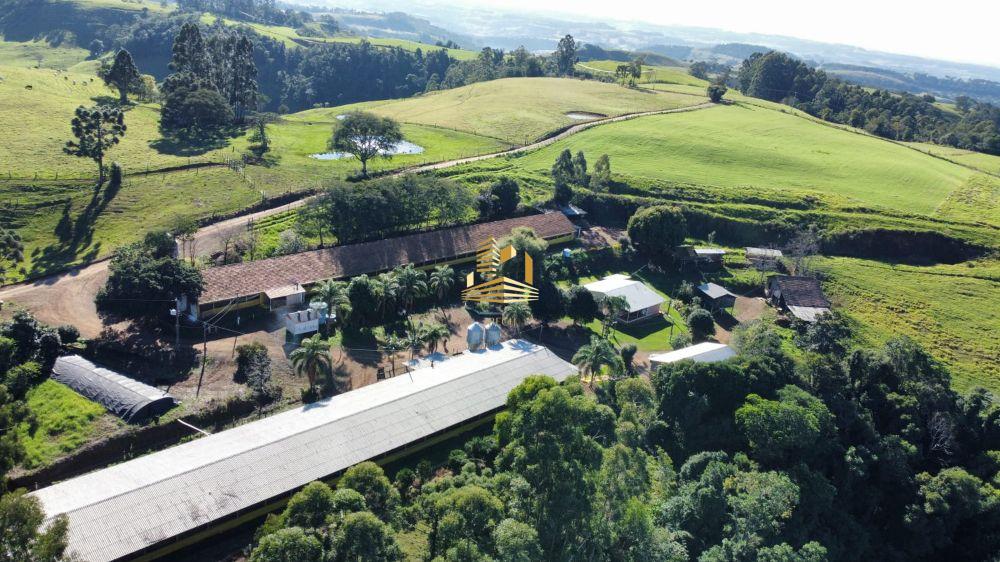 Mega Propriedade Rural com Estrutura Completa para Granja de Galinhas à Venda