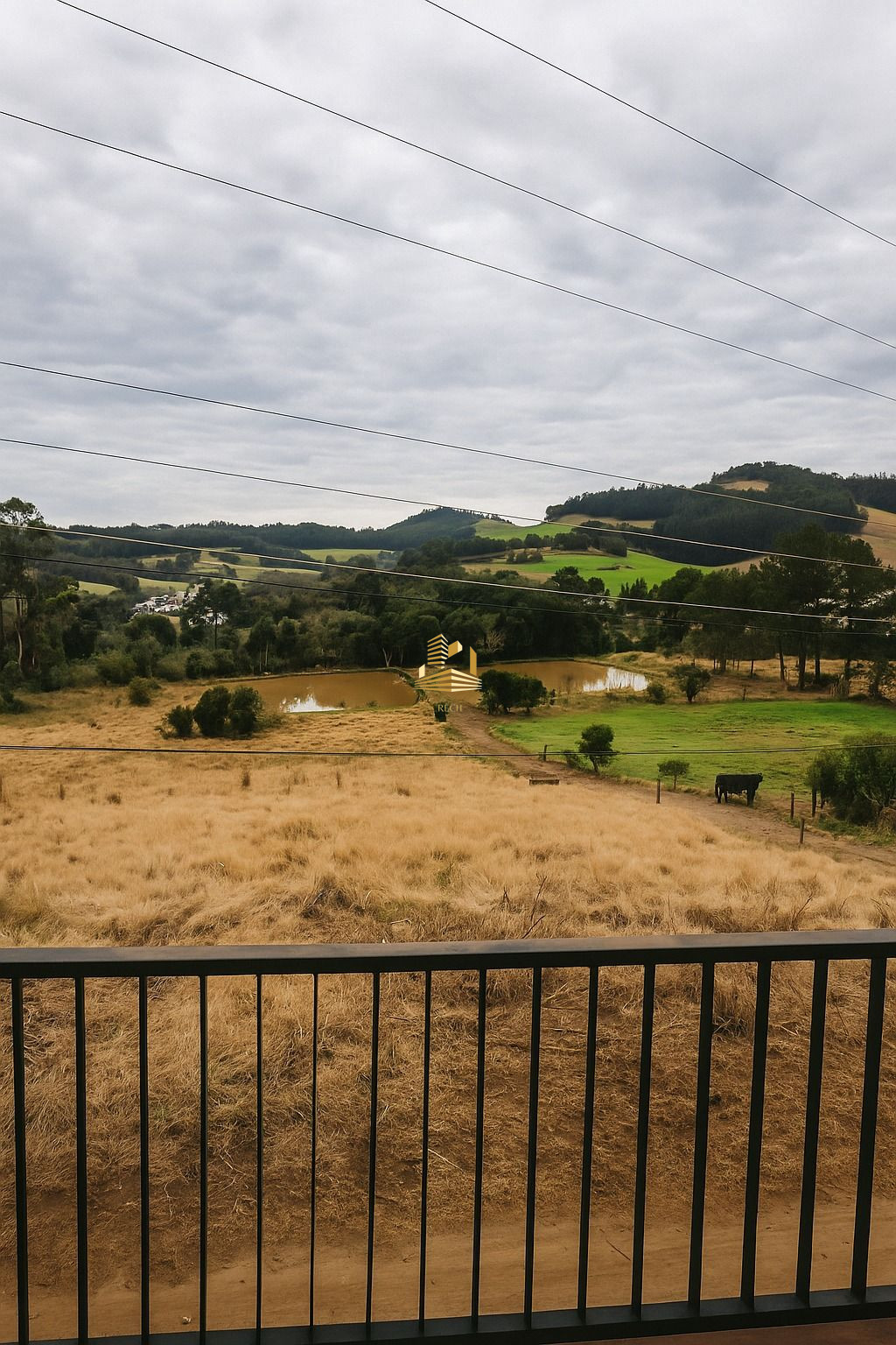 LINDA ÁREA RURAL