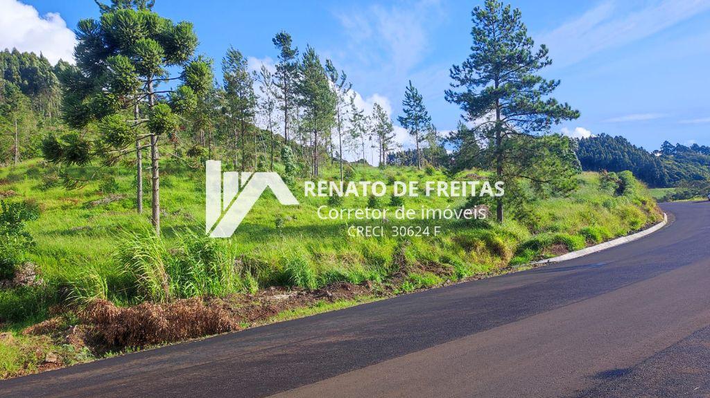 Área de terra no Contorno Leste