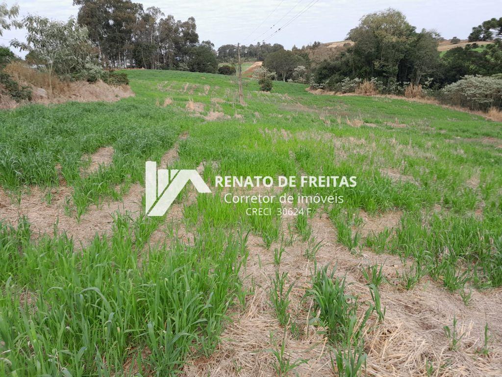 ÁREA DE TERRA NA LINHA SÃO CAETANO