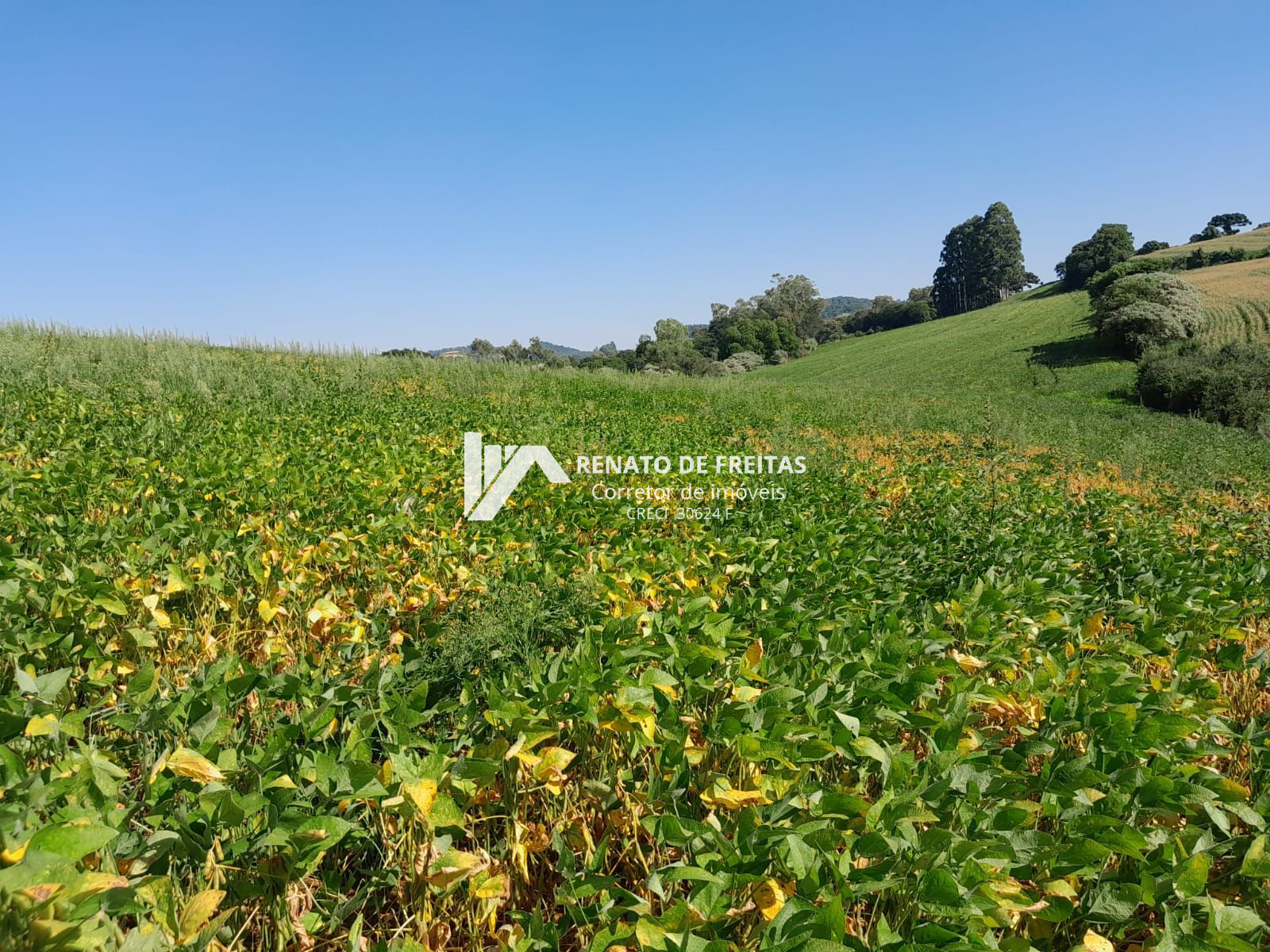 ÁREA DE TERRA NA LINHA SÃO CAETANO