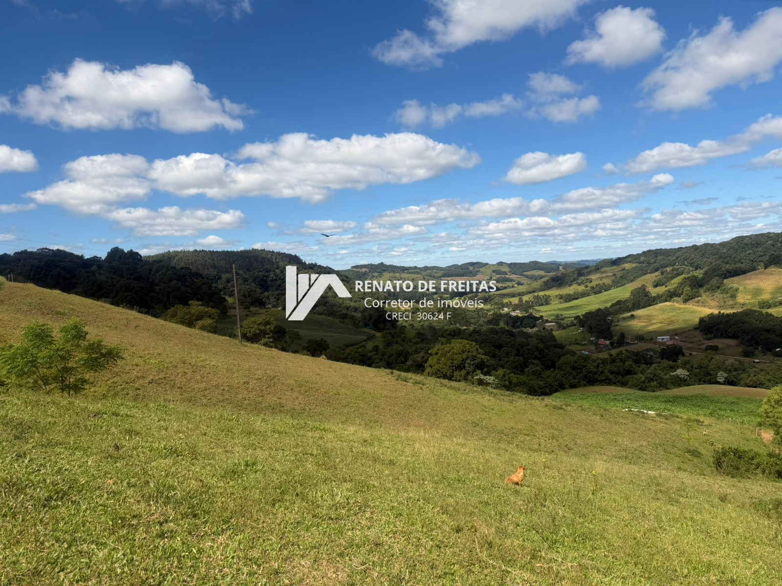 Área de terra próxima da cidade de SLO