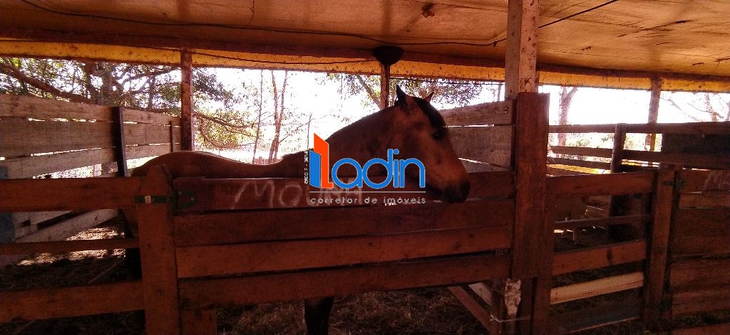 Iladin Imobiliária em Toledo PR