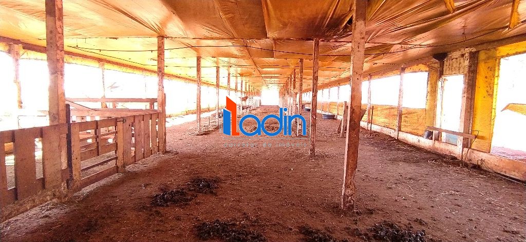 Iladin Imobiliária em Toledo PR