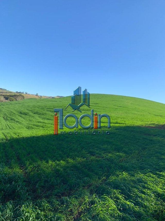 Iladin Imobiliária em Toledo PR