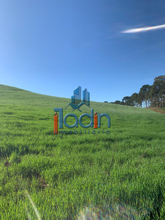 Iladin Imobiliária em Toledo PR