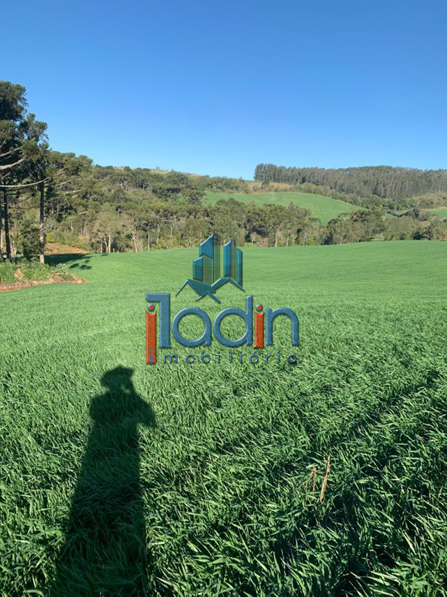 Iladin Imobiliária em Toledo PR