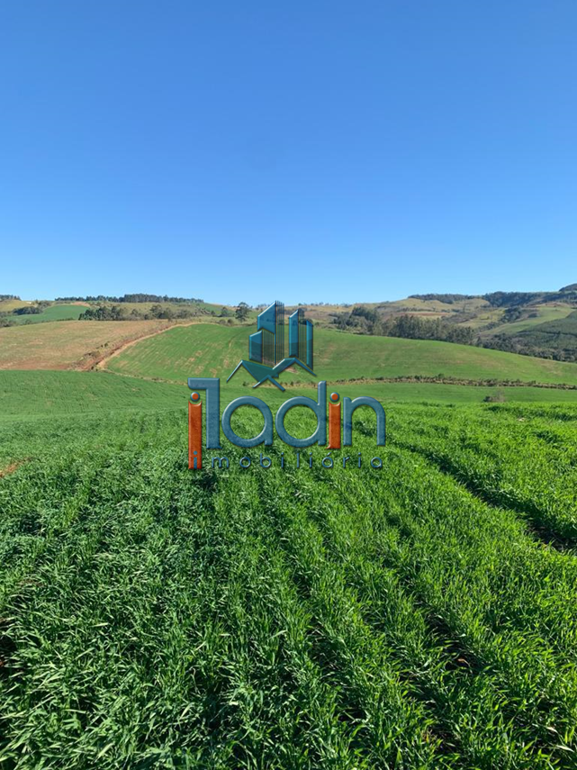 Iladin Imobiliária em Toledo PR