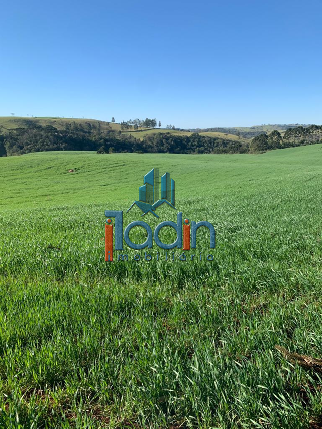 Iladin Imobiliária em Toledo PR