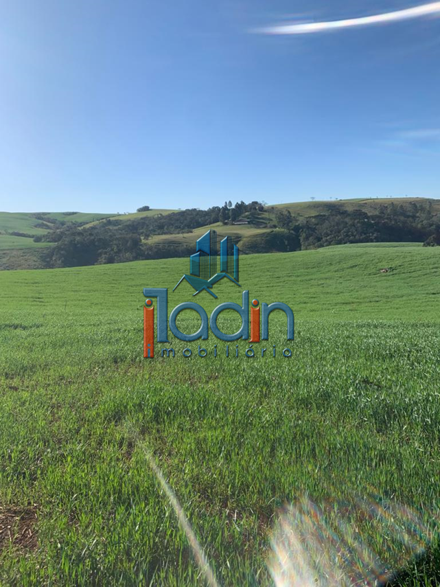 Iladin Imobiliária em Toledo PR