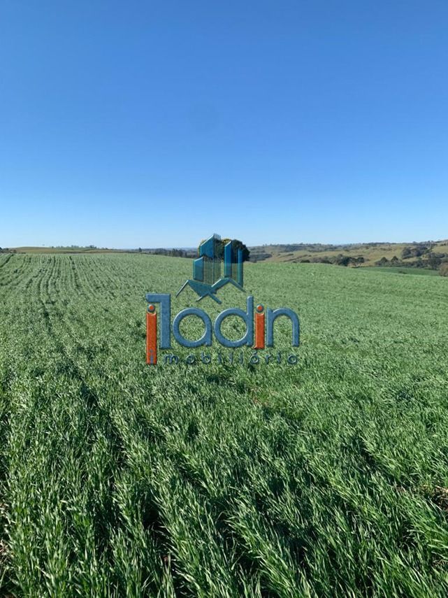 FAZENDA A VENDA EM NOVA LARANJEIRAS NO PARAN