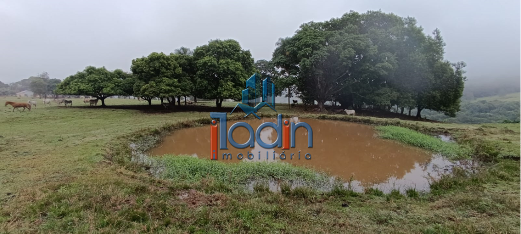 Iladin Imobiliária em Toledo PR