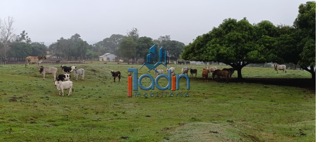 Iladin Imobiliária em Toledo PR