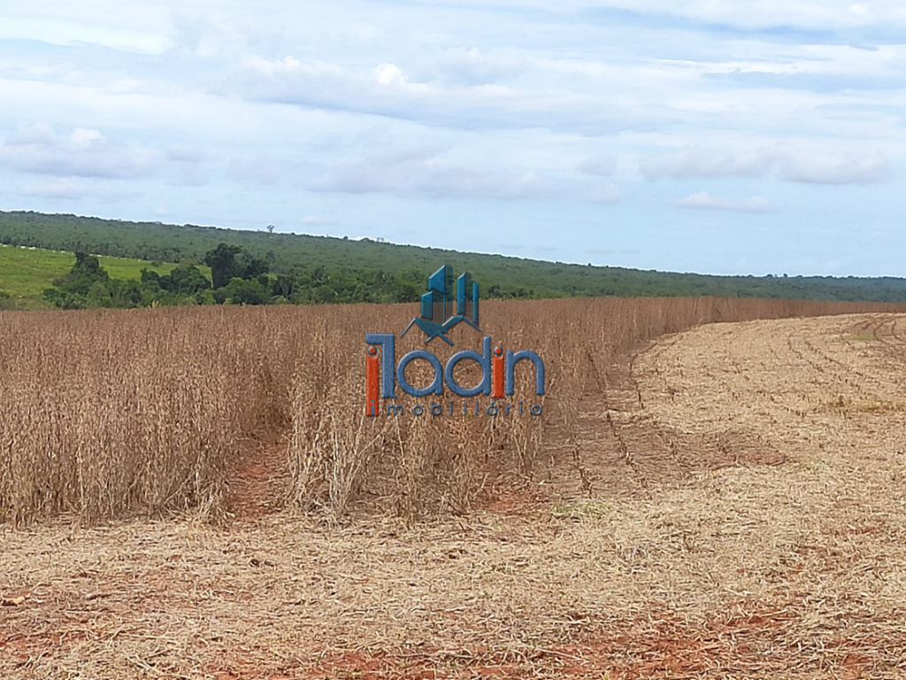 Iladin Imobiliária em Toledo PR