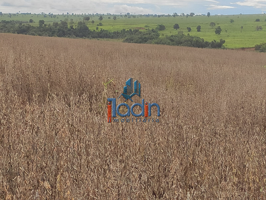 Iladin Imobiliária em Toledo PR